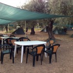 camping under the olive trees
